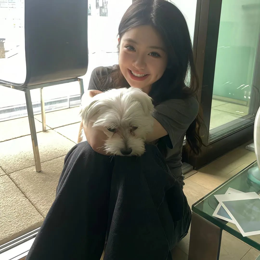 狮子王：木法沙封面