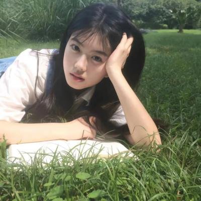 阿尔法：狼伴归途国语封面